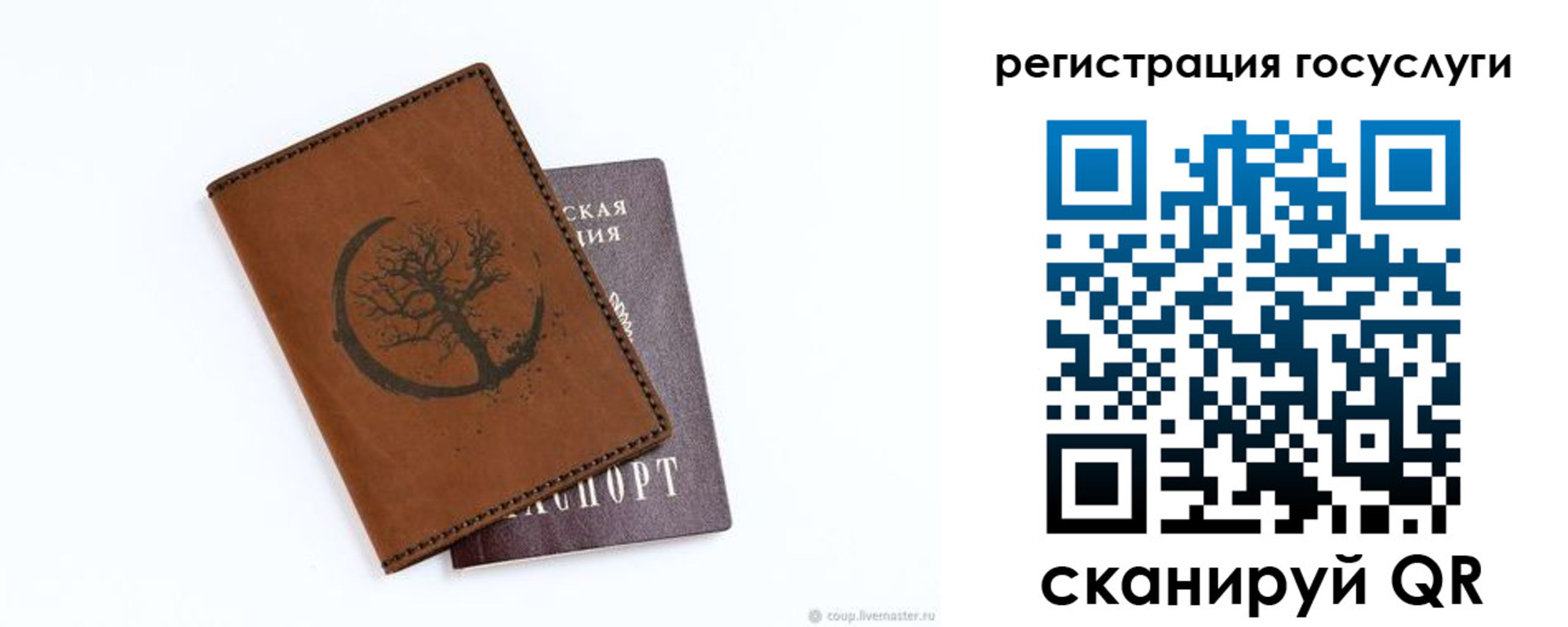 прописка для школы в Братске